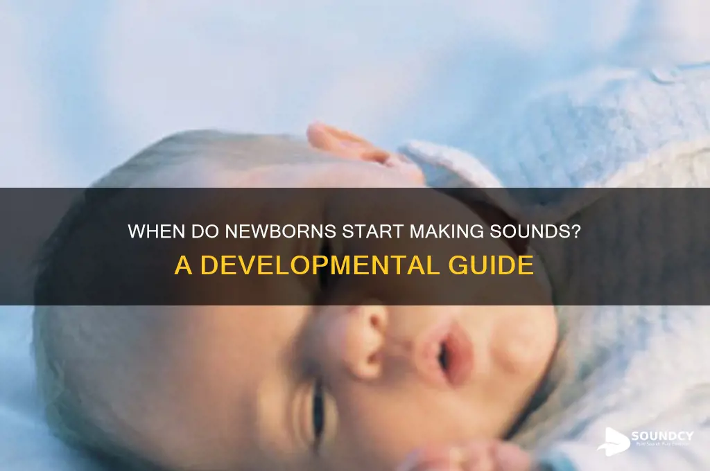 when do newborns make sounds