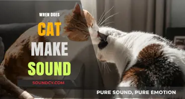 Understanding When and Why Cats Make Sounds: A Comprehensive Guide