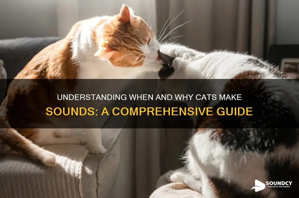 when does cat make sound