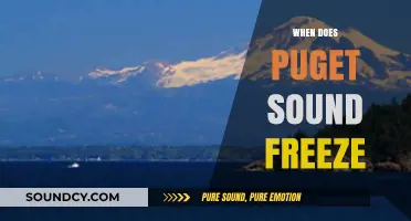 When Does Puget Sound Freeze? Exploring Rare Winter Phenomena