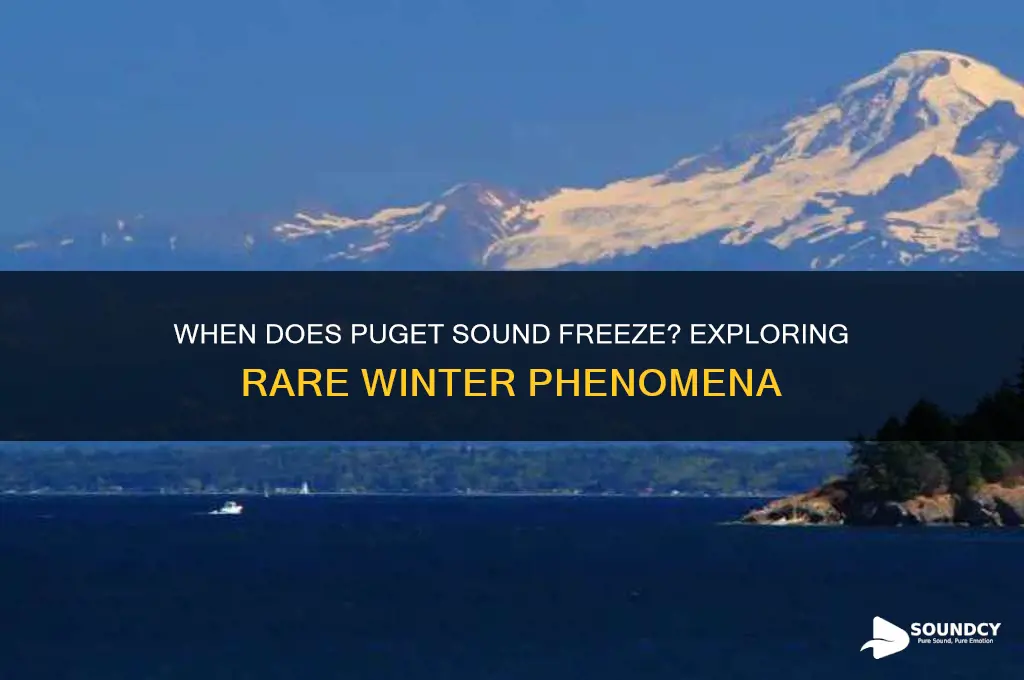 when does puget sound freeze