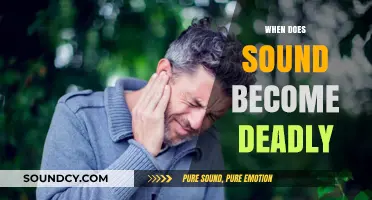 When Sound Turns Lethal: Exploring the Deadly Decibel Threshold