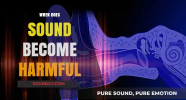 When Sound Turns Toxic: Understanding the Threshold of Harmful Noise