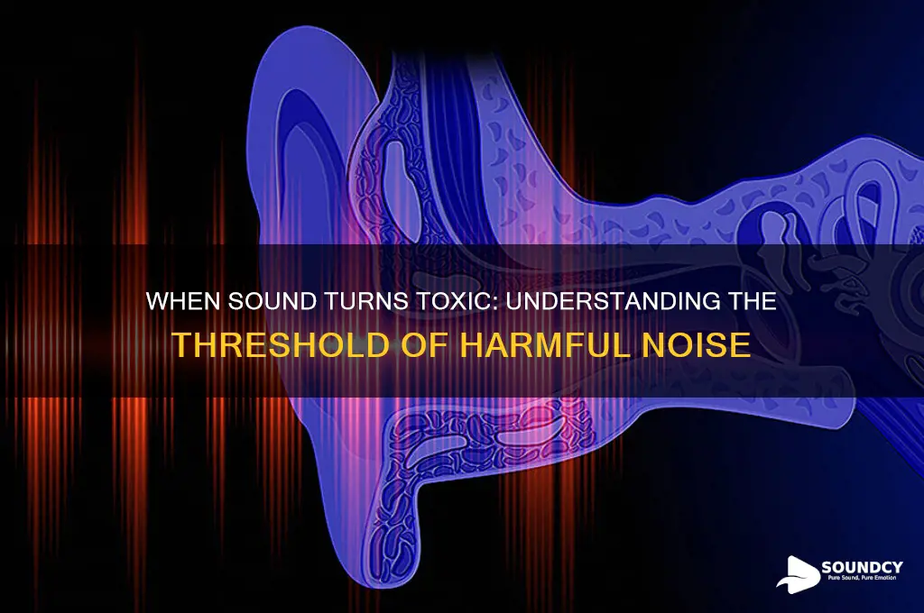 when does sound become harmful