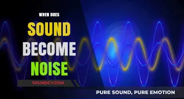 When Sound Turns to Noise: Understanding the Fine Line