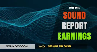 When Does Sound Report Earnings: Key Dates and Insights