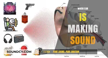 Why Your Ear Makes Noise: Understanding Tinnitus and Ear Sounds
