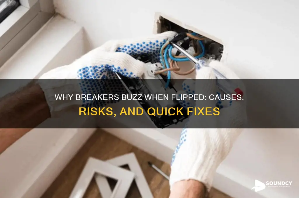 when flipping breaker buzz sound