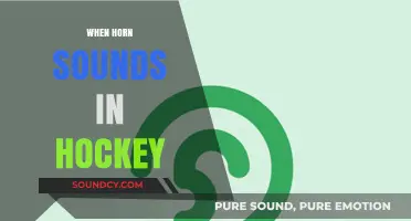 Understanding the Role and Impact of the Horn in Hockey Games