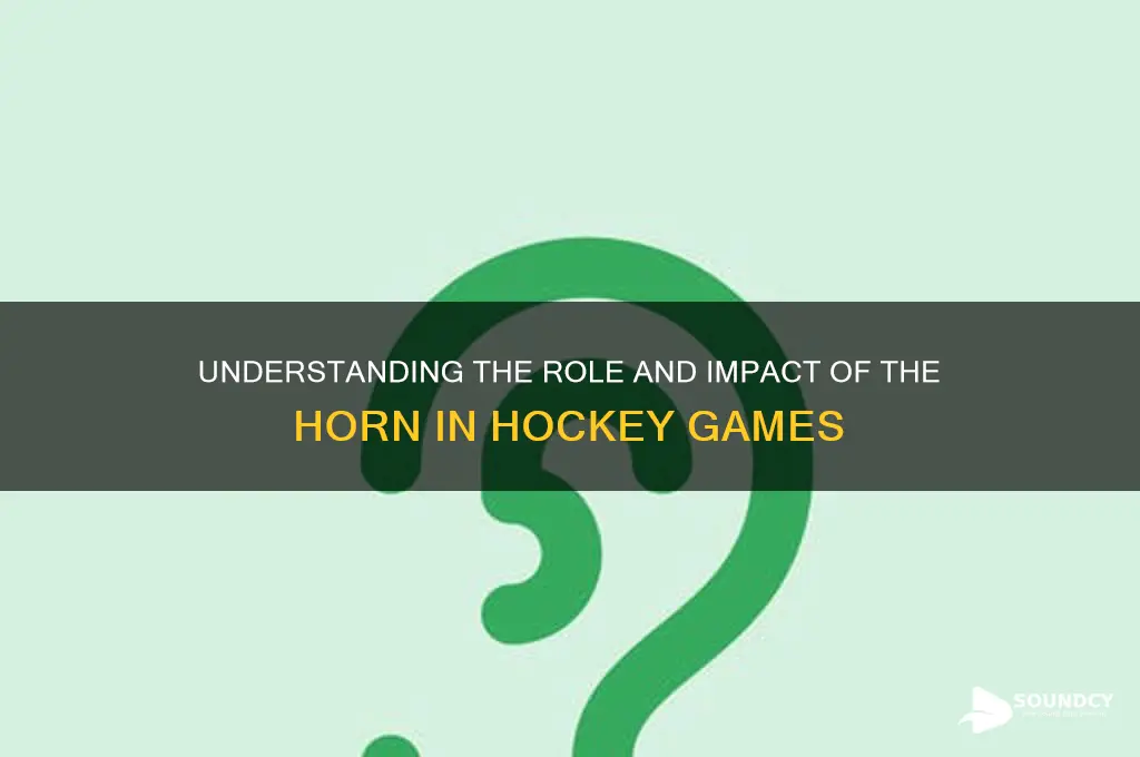 when horn sounds in hockey