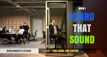 When I Heard That Sound: A Moment of Clarity and Reflection