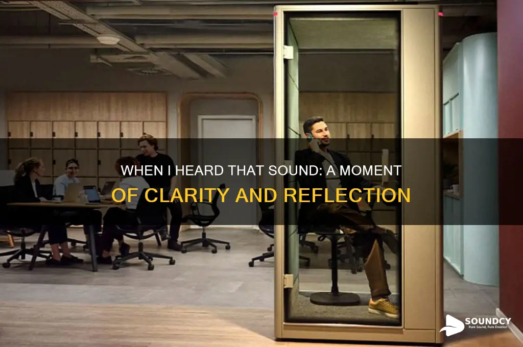 when i heard that sound