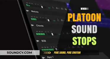 Troubleshooting Platoon Sound Issues: When Your Audio Suddenly Stops