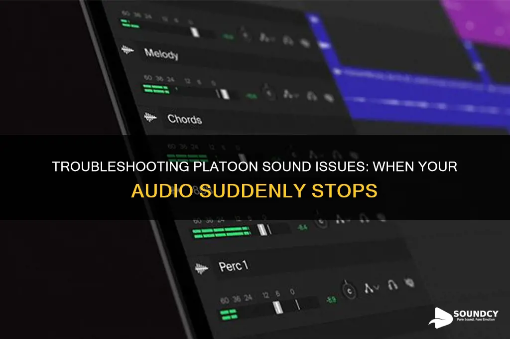 when i platoon sound stops