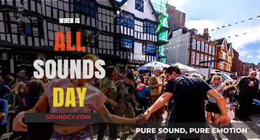 Celebrating All Sounds Day: A Global Appreciation of Auditory Wonders