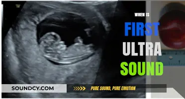 When to Expect Your First Ultrasound: A Pregnancy Milestone Guide