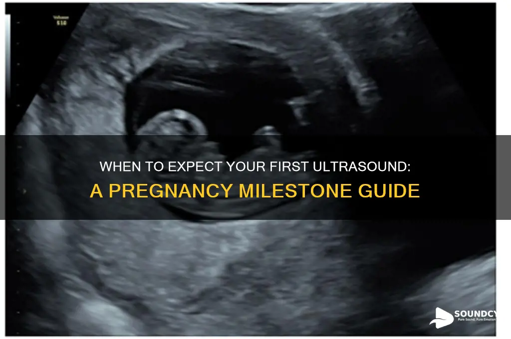 when is first ultra sound