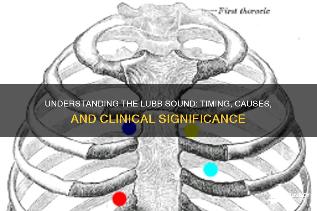 when is lubb sound heard