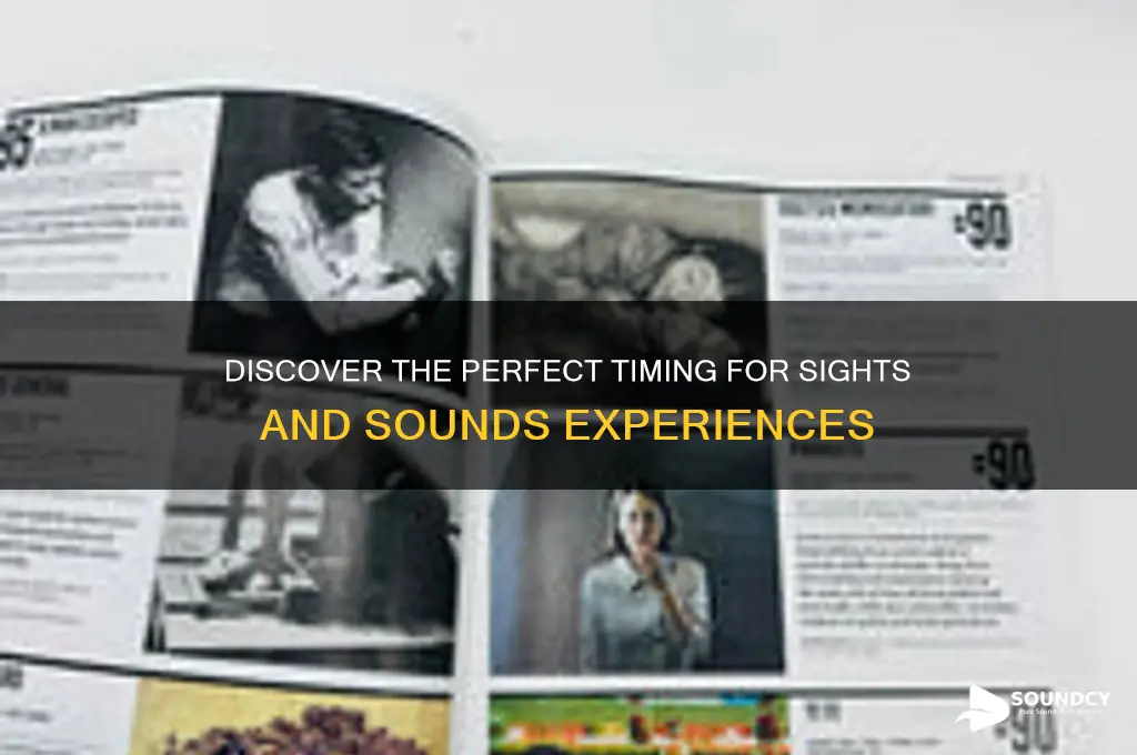 when is sights and sounds