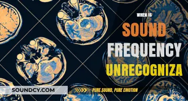 Exploring the Limits: When Sound Frequencies Become Unrecognizable to Humans