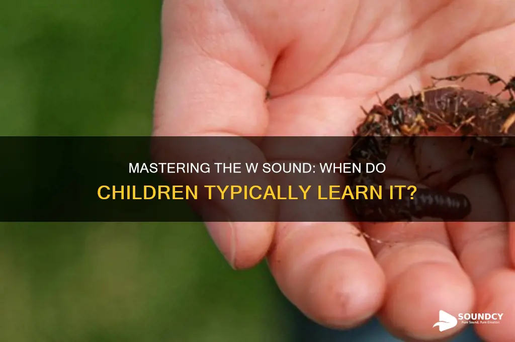 when is w sound learned