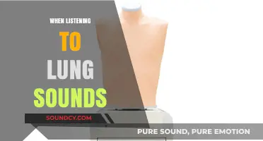 Mastering Lung Auscultation: Essential Tips for Accurate Sound Interpretation