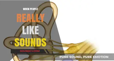 Why Certain Sounds Delight Us: Exploring the Science of Auditory Bliss