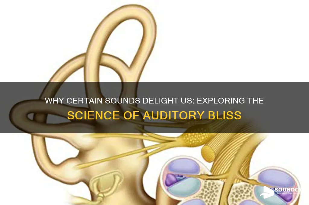 when people really like sounds