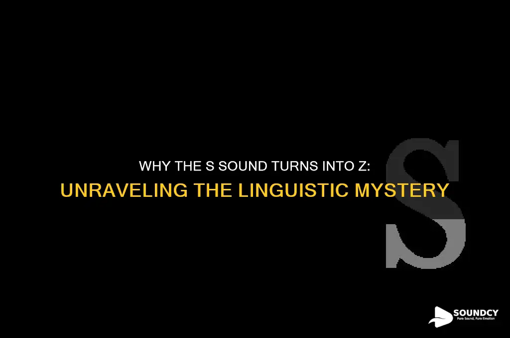 when s sounds like z