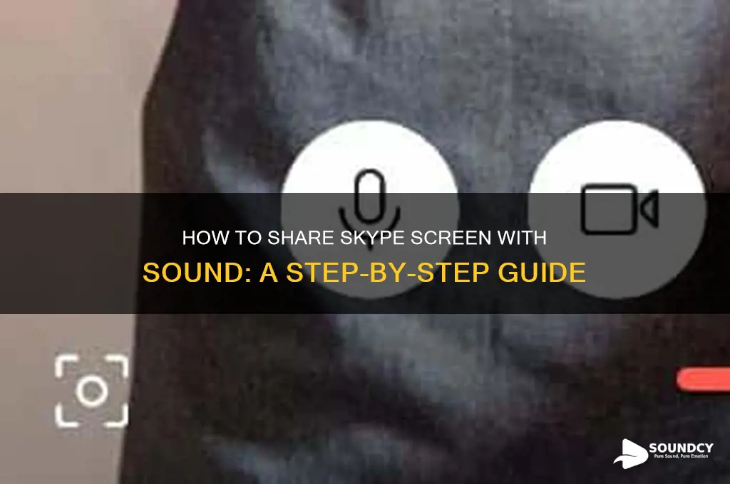 when share skype screen sound