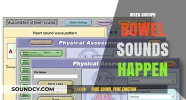 Understanding Bowel Sounds: When Should They Occur and What’s Normal?
