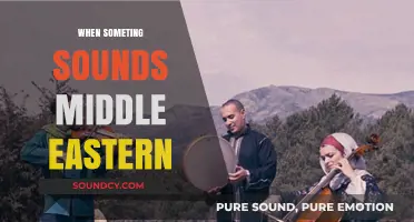 Unraveling the Allure of Middle Eastern Sounds in Music and Culture