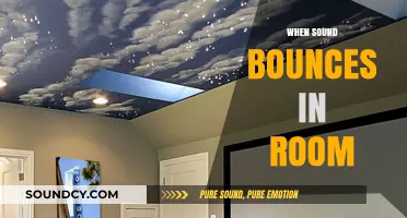 Echoes and Reverberation: Understanding Sound Reflection in Indoor Spaces