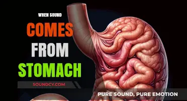 Why Your Stomach Makes Noise: Understanding Digestive Sounds Explained