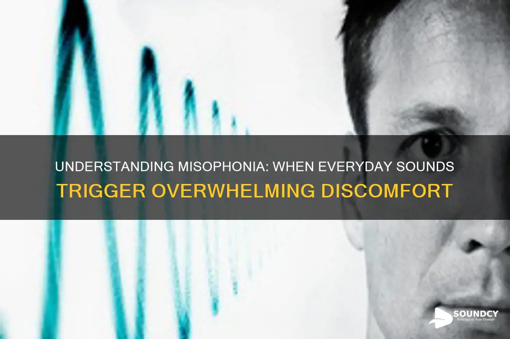 when sounds bother you disease