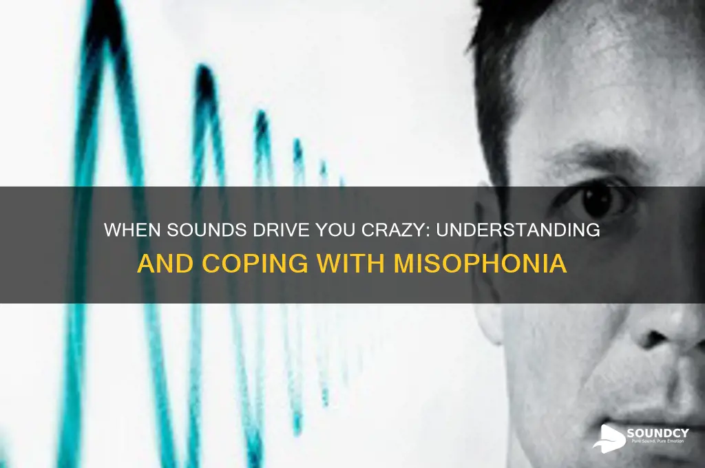 when sounds drive you crazy