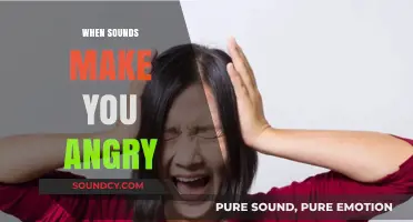When Sounds Attack: Understanding and Managing Misophonia-Induced Anger