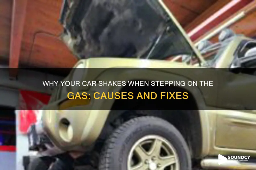 when stepping gas shaking sound