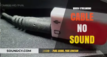 Fixing Silent Streaming: Troubleshooting Cable with No Sound Issues