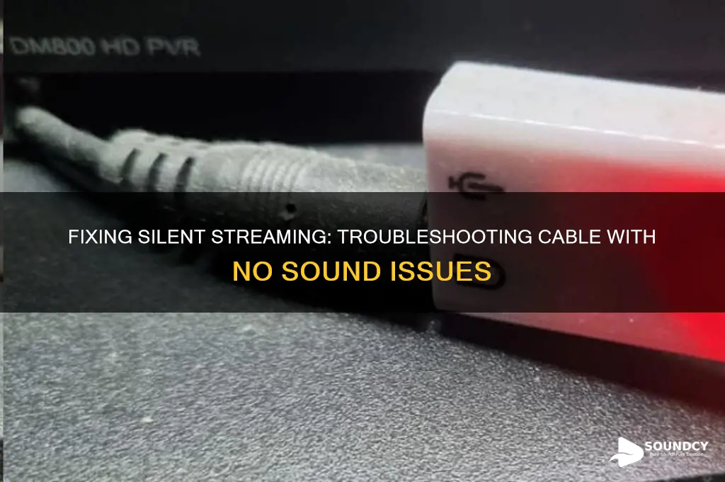 when streaming cable no sound