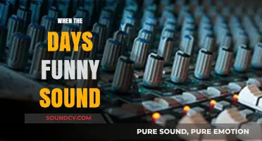 When Days Echo with Laughter: Exploring Life's Unexpected Funny Sounds