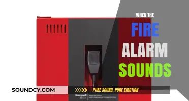 When the Fire Alarm Sounds: Quick Actions to Ensure Safety