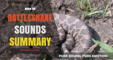 When the Rattlesnake Sounds: Unraveling the Tale's Chilling Summary