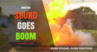 When the Sound Goes Boom: Unraveling the Science Behind Sonic Explosions
