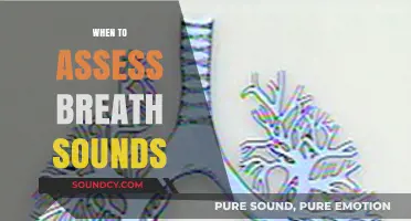 Assessing Breath Sounds: Key Timing for Accurate Patient Evaluation