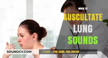Mastering Auscultation: Optimal Timing for Assessing Lung Sounds
