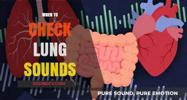 When to Check Lung Sounds: Essential Timing for Accurate Assessments