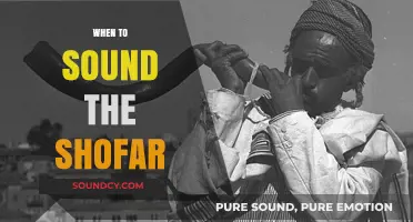 When to Sound the Shofar: A Guide to Jewish Traditions and Timing