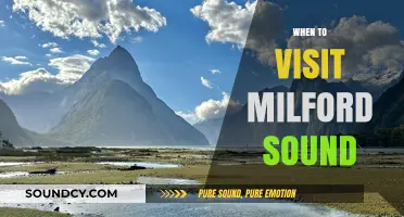 Best Time to Explore Milford Sound: Seasonal Guide for Travelers