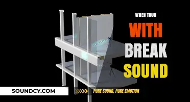 Understanding the Causes and Fixes for Break Sounds When Turning